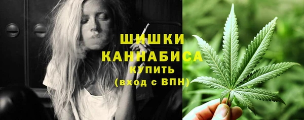 индика Вязники